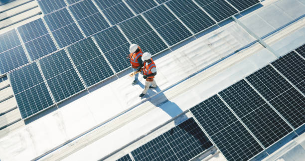 Best Roof Moss and Algae Removal  in La Conner, WA