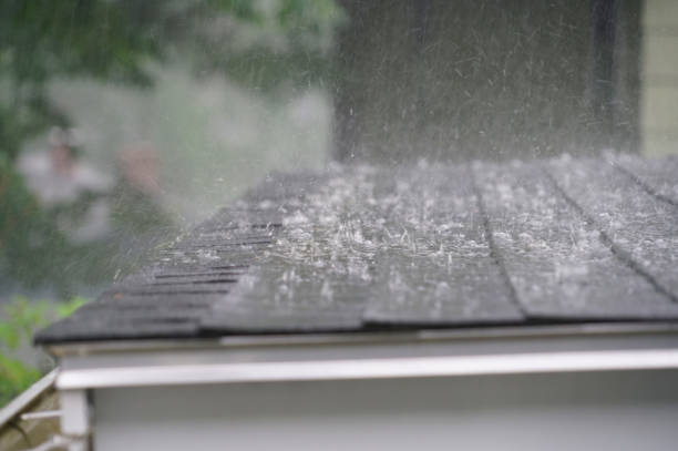 Best Metal Roofing Installation  in La Conner, WA
