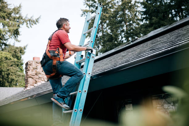 Best Solar Panel Roofing Installation  in La Conner, WA