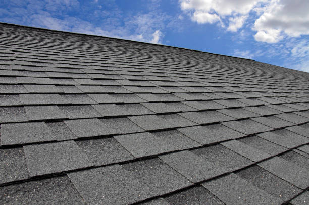 Best Skylight Installation and Repair  in La Conner, WA
